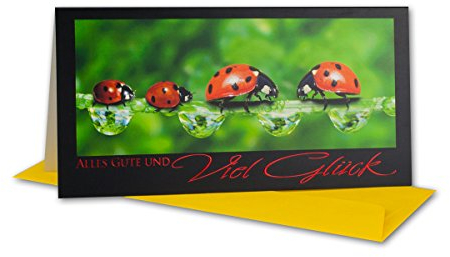 Glückwunschkarte 10 Set mit Umschlägen Gelb - Dankeskarte Motiv Marienkäfer Rot - Klapp-Karte DIN Lang 22,0 x 11,0 cm - Grußkarte für Geburtstag Hochzeit Geburt Taufe Kommunion Ruhestand