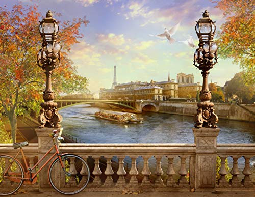 Papier Peint Photo INTISSÉ-PARIS-500x280 cm-(1059AE)-vintage Vieille Ville de Notre Dame Tour Eiffel Désign Colle Inclus Mural Décor Motif Poster Géant Stickers Muraux Optique Moderne Fond Effet XXL