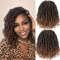 Passion Twist Hair 10 Zoll 8 Packungen Pretwisted Passion Twist Crochet Hair Pre-Looped Crochet Hair YDDM Short Passion Twist Hair Pretwisted Hair Extension (10 Zoll, T1B/30#)