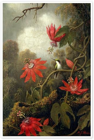 Kolibri und Passionsblumen Poster von Martin Johnson Heade 40 x 60 cm Grün Romantik Wanddeko
