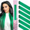 WENNALIFE 12 Stück Grün Haarsträhnen Zum Einklipsen Haarsträhnen Kinder, Clip in Haar Extensions Bunte Haarsträhnen Kinder Haare zum Einflechten Mädchen Gerade Party Haarverlängerungen Zubehör