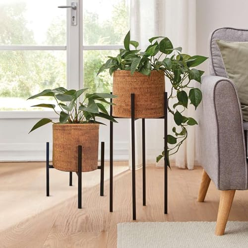 FRANK FLECHTWAREN Übertopf Kork, 2er Set, Kork, Filz, ausgeschlagen mit Folie Ø 20 x 19 cm, Ø 24 x 21 cm, vielseitig einsetzbar, Naturbelassen, ideale Ergänzung z. Blumenständer B0D7Q83SMR