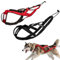 Hundegeschirr zum Ziehen, X-Rücken Mushing, Husky-Geschirr für Schlittenübung, Haustier-Gewichts-Ziehen, Rodelgeschirr, Bikejoring, Skijoring, großer laufender Hundeschlitten, Canicross-Rollerfahren
