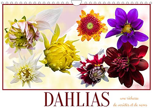 DAHLIAS une richesse de variétés et de noms (Calendrier mural 2022 DIN A4 horizontal): Le Dahlia, tubercule mexicain, est une plante d'ornement qu'il ... pas oublier. (Calendrier mensuel, 14 Pages )