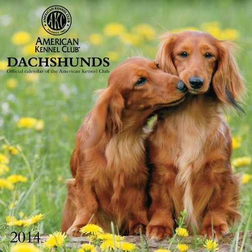 Dachshunds - American Kennel Club 2014 Calendar
