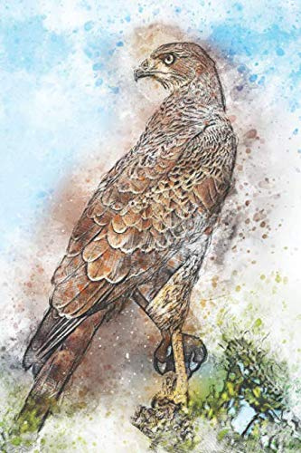 Krafttier Falke - Notizbuch mit Falken Bild: Notizbuch / Malbuch blanko mit 120 Seiten für Greifvogel Liebhaber