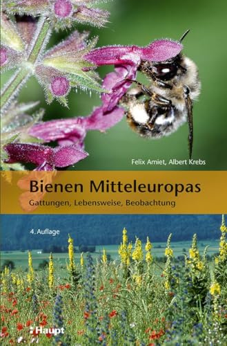 Bienen Mitteleuropas: Gattungen, Lebensweise, Beobachtung