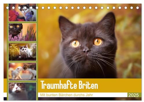 Traumhafte Briten (Tischkalender 2025 DIN A5 quer), CALVENDO Monatskalender