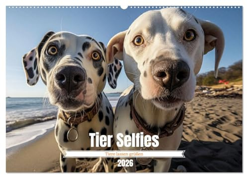 Tier Selfies (Wandkalender 2026 DIN A2 quer), CALVENDO Monatskalender: Die Tiere sagen Hallo - der Tier Selfie Kalender (CALVENDO Tiere)