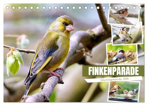 Finkenparade (Tischkalender 2026 DIN A5 quer), CALVENDO Monatskalender: Die mit den kräftigen, meistens kegelförmigen Schnäbeln (CALVENDO Tiere)