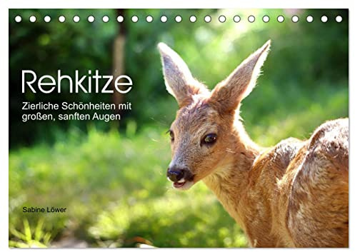 Rehkitze, zierliche Schönheiten mit großen, sanften Augen (Tischkalender 2026 DIN A5 quer), CALVENDO Monatskalender: Bezaubernde Nahaufnahmen von Rehkitzen (CALVENDO Tiere)