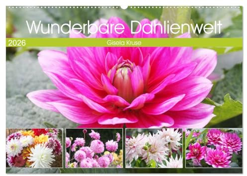 Wunderbare Dahlienwelt (Wandkalender 2026 DIN A2 quer), CALVENDO Monatskalender: Die Königin des Spätsommers in farbenfroh leuchtenden Fotografien (CALVENDO Natur)