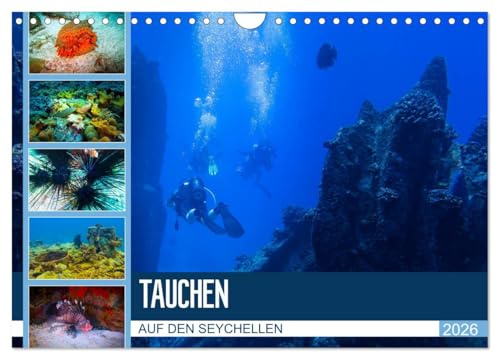 Tauchen auf den Sychellen (Wandkalender 2026 DIN A4 quer), CALVENDO Monatskalender: Faszination Unterwasserwelt (CALVENDO Orte)