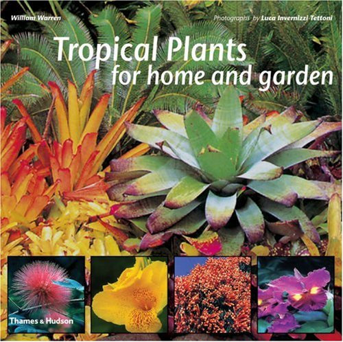 Tropical Garden Plants