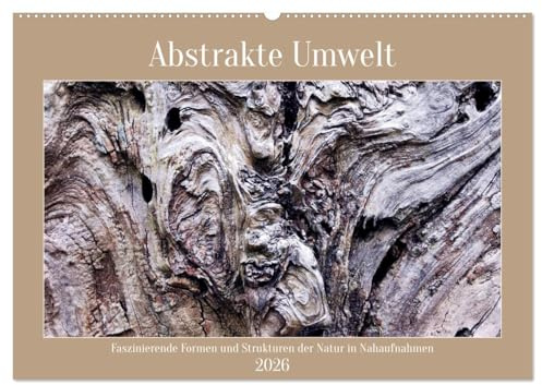 Abstrakte Umwelt (Wandkalender 2026 DIN A2 quer), CALVENDO Monatskalender: Faszinierende Formen und Strukturen der Natur in Nahaufnahmen (CALVENDO Natur)