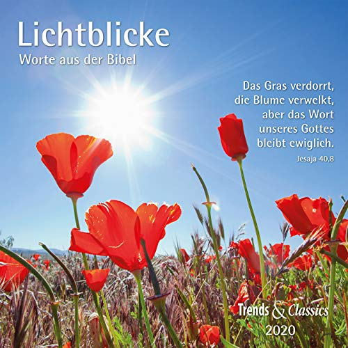 Lichtblicke 2020 - Broschürenkalender - Wandkalender - mit herausnehmbarem Poster und Bibelzitaten - Format 30 x 30 cm: Worte aus der Bibel