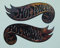cut-it folientechnik & design MG303 / 2X Rost Kult Aufkleber je 11,5x4,5cm Hot Rod Tuning Sticker Muscle Car Racing Old School Vintage Retro Style