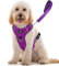 TUFFDOG Easy-Fit Dog Harness Medium - Fast Release Neck Clip, Premium Padded Reflective No Pull Harness with Control Handle, Adjustable Step-in Dog Vest Plus Free Matching Lead (M, Vivid Violet)