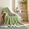 QOFLY Coperta morbida in pile Sherpa, 100 x 150 cm, piccola come coperta per divano e soggiorno, spessa e morbida