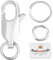 Beebeecraft 1 Box 6Pcs Lobster Claw Clasps 0.47x0.24in/12x6mm Platinum Plated Brass Silver Jewellry Clasps with 12Pcs 6/7mm Open Jump Rings for Necklace Bracelet DIY Making
