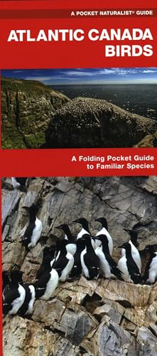 Atlantic Canada Birds: A Folding Pocket Guide to Familiar Species (Wildlife and Nature Identification)