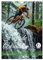 Freeride Adrenalin (Wandkalender 2025 DIN A4 hoch), CALVENDO Monatskalender