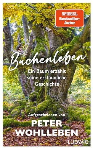 Buchenleben: Ein Baum erzählt seine erstaunliche Geschichte