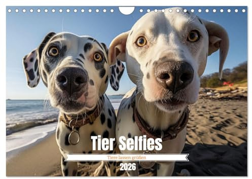 Tier Selfies (Wandkalender 2026 DIN A4 quer), CALVENDO Monatskalender: Die Tiere sagen Hallo - der Tier Selfie Kalender (CALVENDO Tiere)