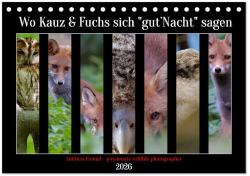 Wo Kauz & Fuchs sich gut`Nacht sagen (Tischkalender 2026 DIN A5 quer), CALVENDO Monatskalender: Als ein Freund von Fuchs und Waldkauz lag es mir am ... Umgebung zu zeigen. (CALVENDO Tiere)