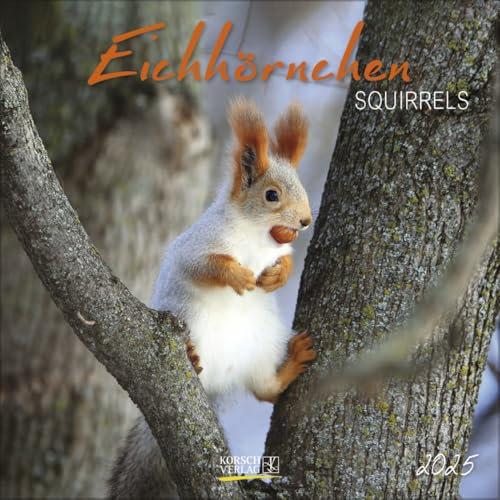 Eichhörnchen 2025: Broschürenkalender mit Ferienterminen. Format: 30 x 30 cm