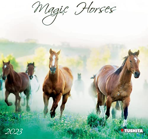 Magic Horses 2023: Kalender 2023 (Wonderful World)
