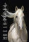 Beautiful Horses 2021 - Bild-Kalender 34x49,5cm - Pferde - Tierkalender - Wand-Kalender - Alpha Edition