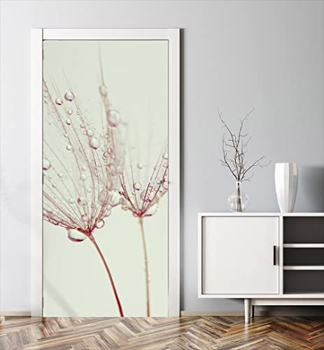 MyMaxxi - Tür bekleben mit Türtapete Türposter Türfolie Selbstklebend 90x200 Pusteblume mit Tau - Tür verschönern mit Türfolie - Türaufkleber Türklebefolie Samen Löwenzahn