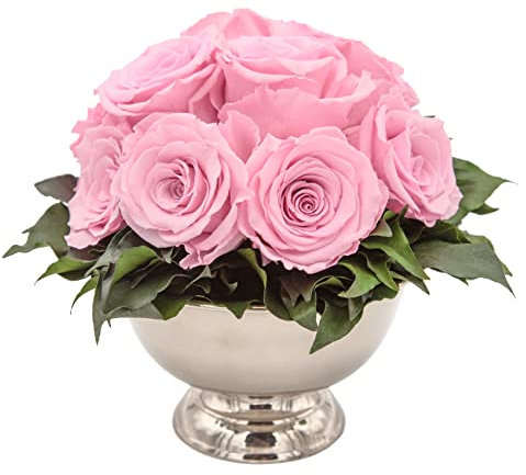 ROSEMARIE SCHULZ Heidelberg Infinity Blume in silberfarbenen Becher ewige Rose konserviert Blumenstrauß langhaltend (Rosa, 11 Rosen)