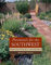 Perennials for the Southwest: Plants That Flourish in Arid Gardens