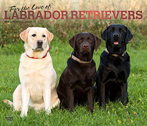For the Love of Labrador Retrievers | 2024 14 x 24 Inch Monthly Deluxe Wall Calendar | Foil Stamped Cover | BrownTrout | Animal Dog Breeds