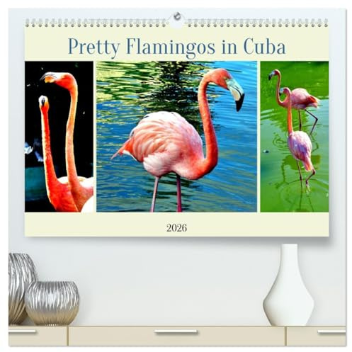 Pretty Flamingos in Cuba (hochwertiger Premium Wandkalender 2026 DIN A2 quer), Kunstdruck in Hochglanz: Flamingos an der kubanischen Küste (CALVENDO Tiere)