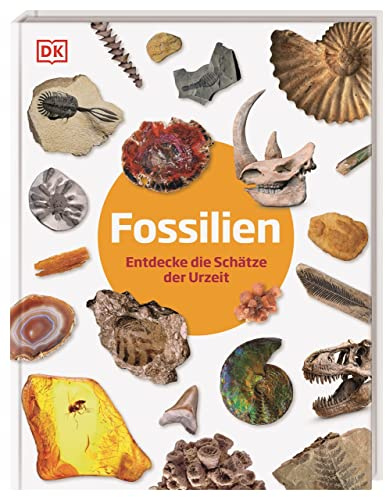 Fossilien: Entdecke die Schätze der Urzeit (Steckbriefe)