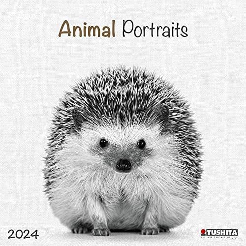 Animals 2024: Kalender 2024 (Wonderful World)