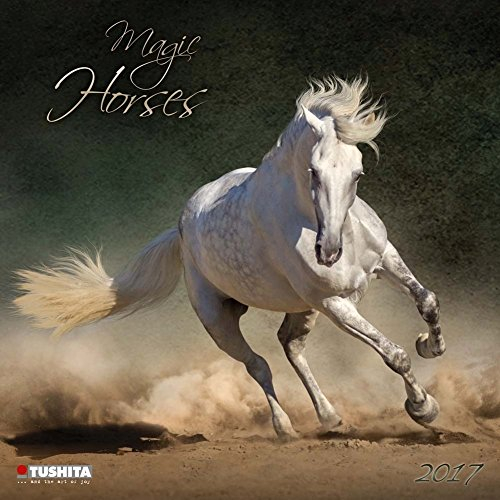 Magic Horses 2017: Kalender 2017 (Wonderful World)