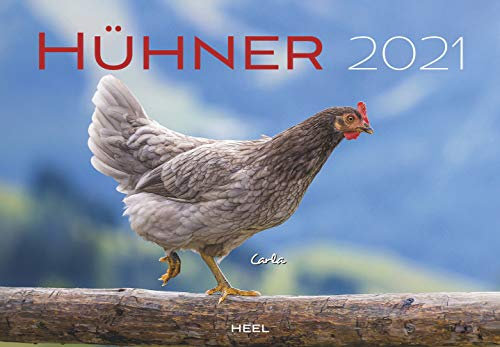 Hühner 2021: Der sympathische Hühner-Kalender mit den charmanten Namen