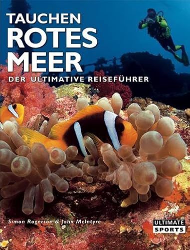 Tauchen Rotes Meer - Der Ultimative Reiseführer