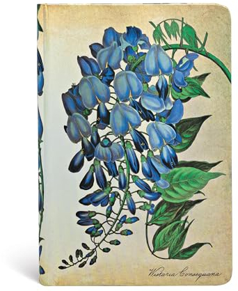 Paperblanks - Botanikmalerei Blühende Glyzinie - Notizbuch Mini Liniert (Painted Botanicals), Mini (140 x 95): Lined Mini