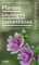 Plantes sauvages comestibles