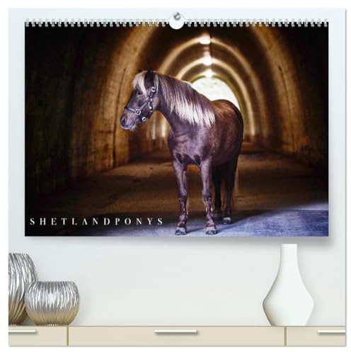 Shetlandpony Kalender (hochwertiger Premium Wandkalender 2026 DIN A2 quer), Kunstdruck in Hochglanz: Monatskalender, 14 Seiten (CALVENDO Tiere)