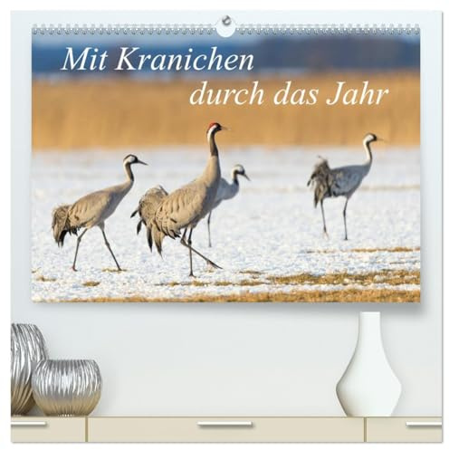 Mit Kranichen durch das Jahr (hochwertiger Premium Wandkalender 2026 DIN A2 quer), Kunstdruck in Hochglanz: Kraniche, die größten Vögel Deutschlands, ... Fotografien gezeigt. (CALVENDO Tiere)