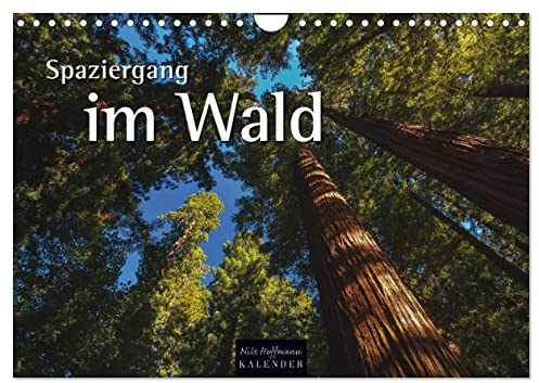 Spaziergang im Wald (Wandkalender 2026 DIN A4 quer), CALVENDO Monatskalender: Jahreszeitliche Einblicke in den Wald (CALVENDO Natur)