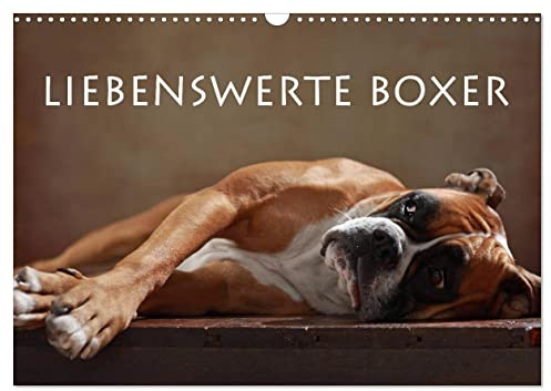 Liebenswerte Boxer (Wandkalender 2026 DIN A3 quer), CALVENDO Monatskalender: Liebenswerte Boxer im Portrait (CALVENDO Tiere)