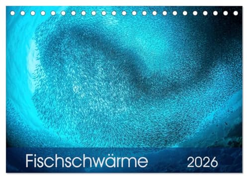 Fischschwärme (Tischkalender 2026 DIN A5 quer), CALVENDO Monatskalender: Gewaltige Fischschwärme aus dem Pazifischen Ozean bieten ein fantastisches Naturschauspiel (CALVENDO Natur)