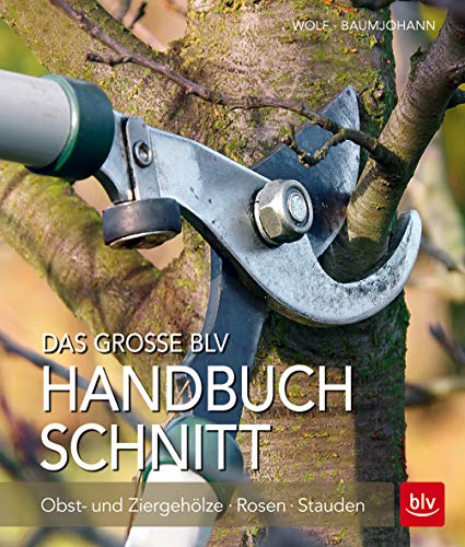 Das große BLV Handbuch Schnitt: Obst- und Ziergehölze - Rosen - Stauden (BLV Pflanzenpraxis)
